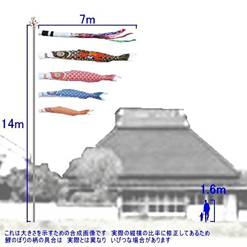 Amazon | キング印鯉のぼり 鯉のぼり 庭用 ナイロン鯉（祥龍吹流し）金